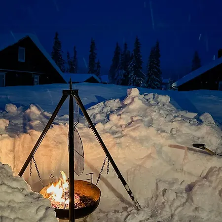 Cozy In Beautiful Area Near *